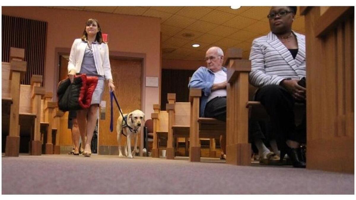 Assistant 10th Judicial Circuit Solicitor Chelsey Moore walks her roommate, Roma the courthouse dog, into the dog's biggest job yet. Roma helped an anxious witness in a homicide trial, settling at the feet of the witness out of sight of jurors.