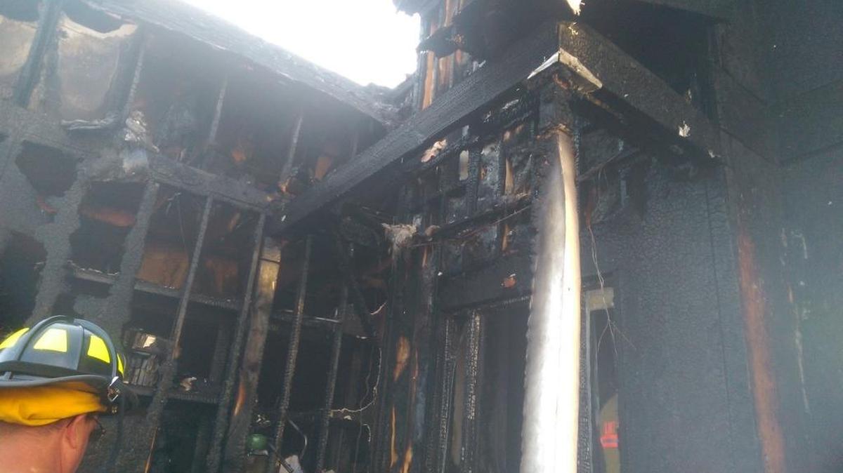A fire damaged a Fort Mill home belonging to an award winning photographer. But thanks to quick thinking from Kevin Baum, 48, three dogs were rescued from the home.