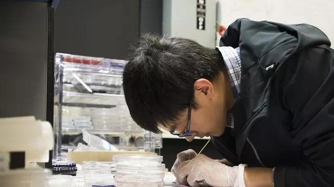 Clemson researchers focus like a laser on lasers for military use