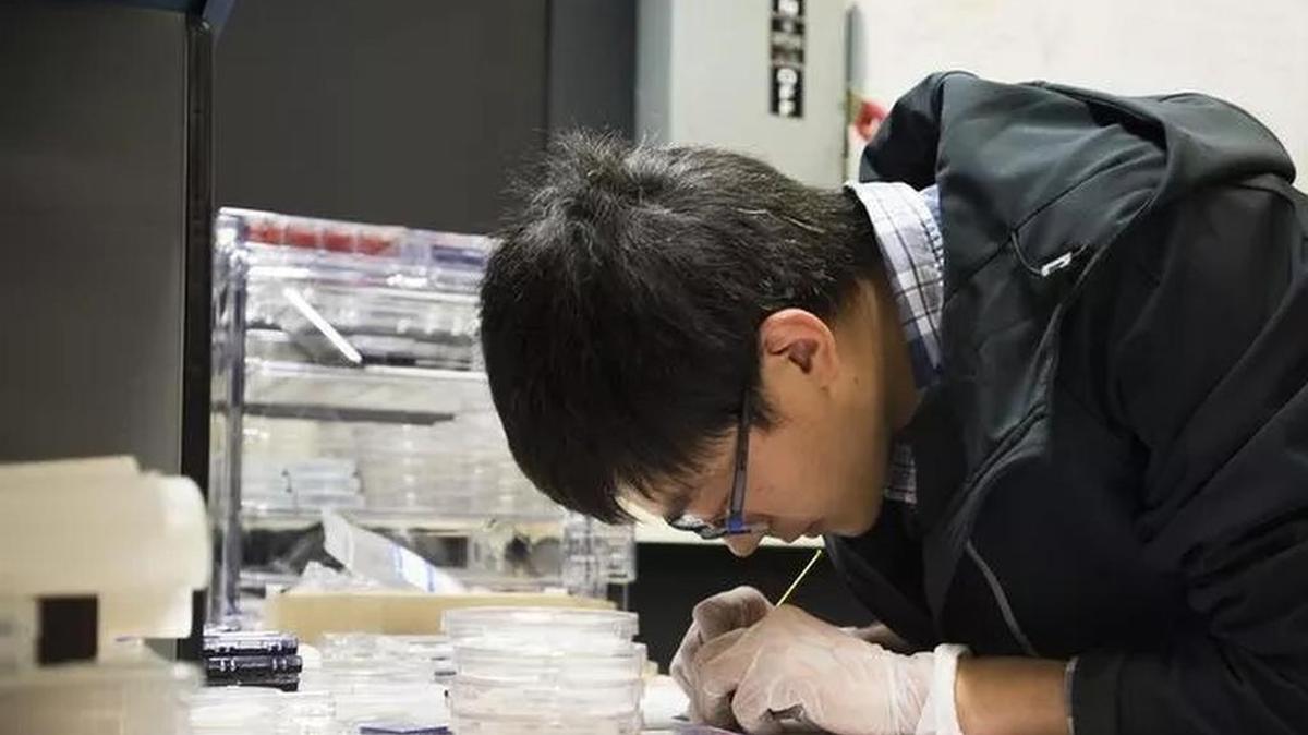 Yeyu Zhu cuts silicon to be used for projecting lasers at the Clemson Advanced Materials Research Lab.