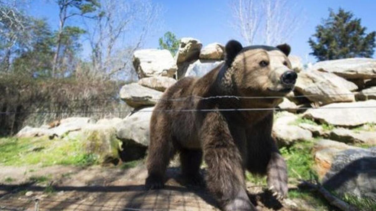 FILE PHOTO: Hollywild Animal Park