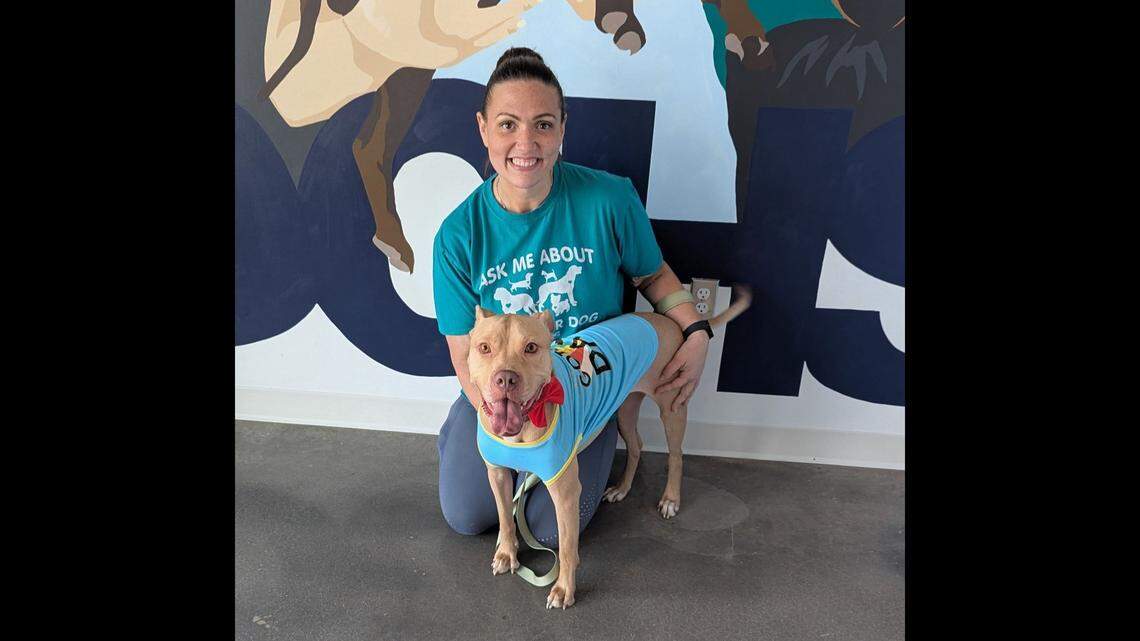 ‘Abandoned’ dog waited 700 days for new home. Then a familiar face stepped in