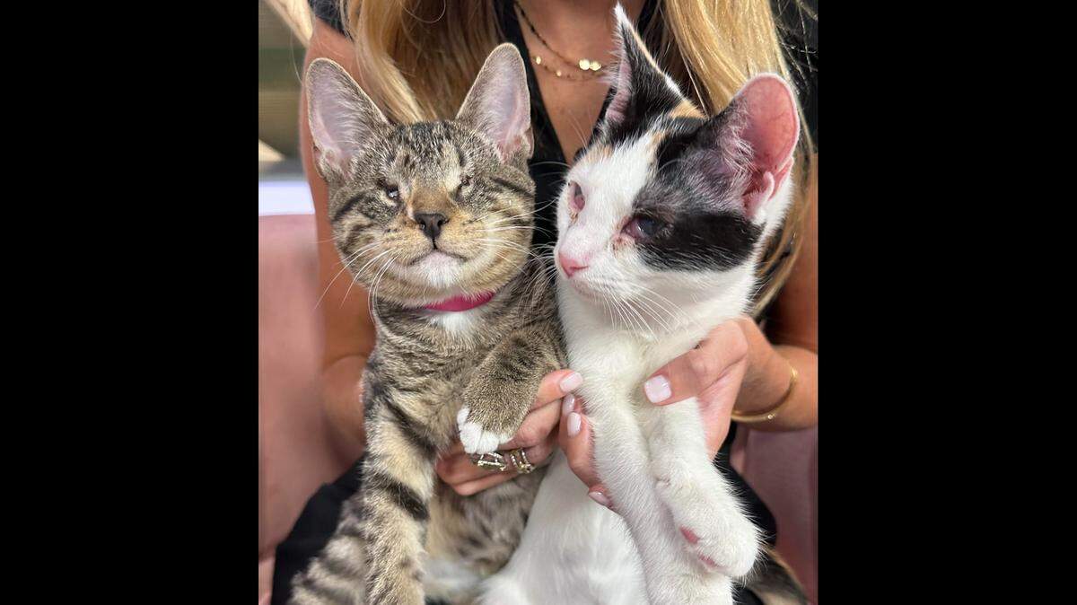 A South Carolina shelter hopes Peanut, left, and Jelly are adopted into the same home.