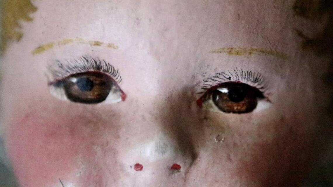Collector has too many dolls to name them all