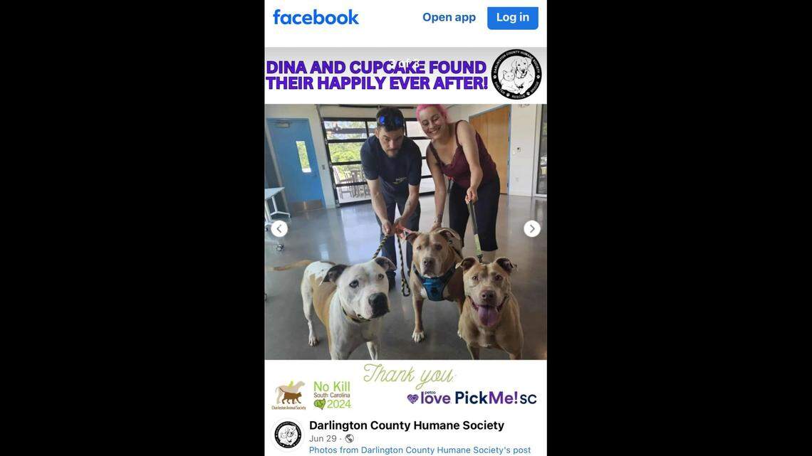 Two shelter dogs with “heartbreaking” pasts were adopted together in South Carolina.