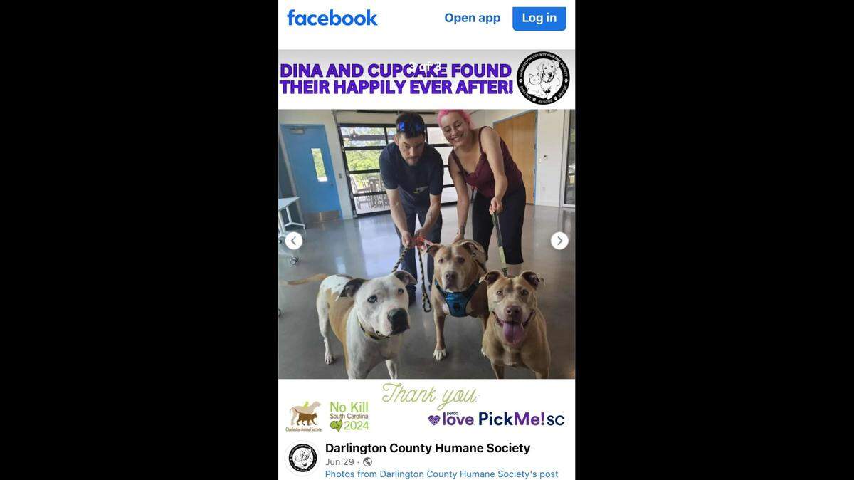 Two shelter dogs with “heartbreaking” pasts were adopted together in South Carolina.