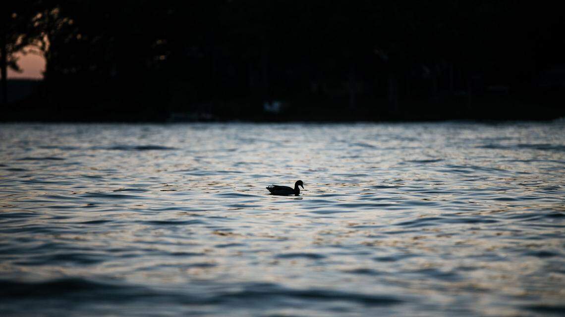 A 30-year-old who went tubing in South Carolina is missing.