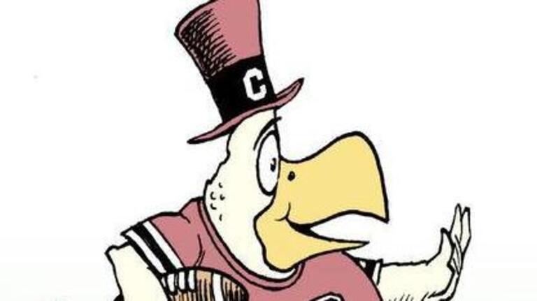 Ariail on the Gamecocks' bowl victory