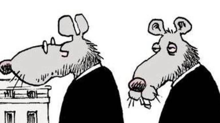 Ariail on Columbia's rat infestation