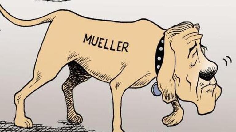 Ariail on the Mueller investigation