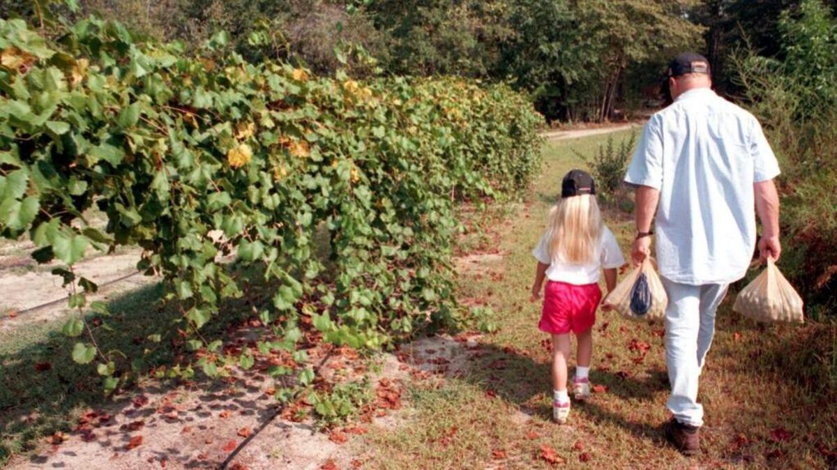 Fathers make all the difference in the world.