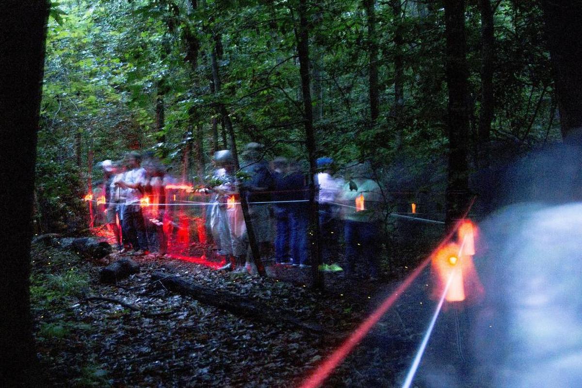 A crowd gathers along the Fireflies Trail inside Congaree National Park to watch synchronous fireflies Sunday May 20, 2018, in Columbia, SC. The rare phenomenon of synchronization lasts been two to three weeks during the year.