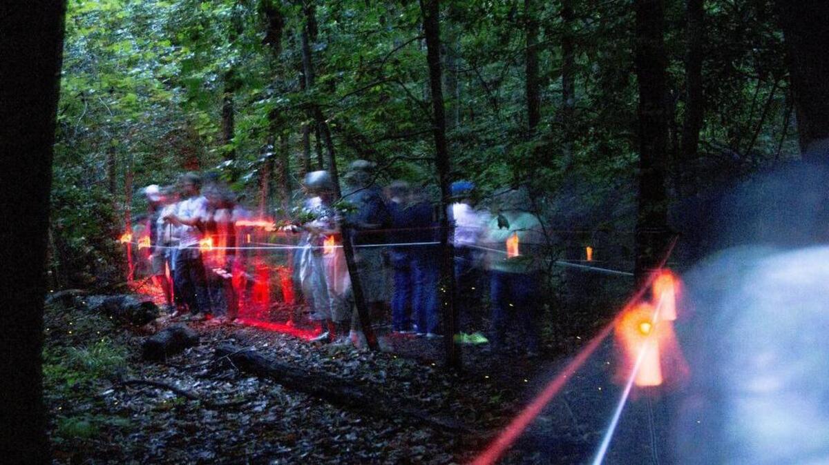 A crowd gathers along the Fireflies Trail inside Congaree National Park to watch synchronous fireflies Sunday May 20, 2018, in Columbia, SC. The rare phenomenon of synchronization lasts been two to three weeks during the year.
