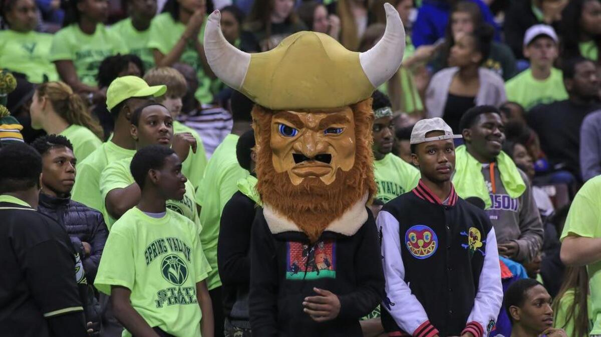 Spring Valley fans cheer on their team.