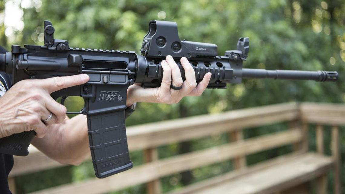 Assault rifles designed to inflict maximum damage to humans | The State