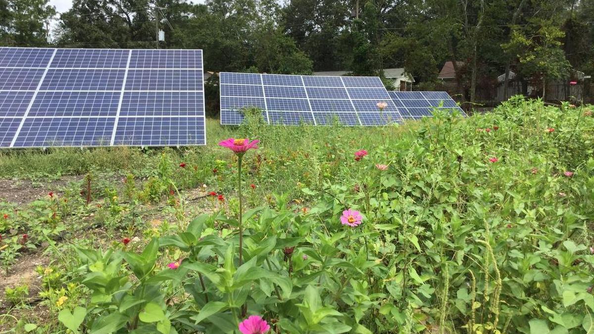 It’s difficult to disrupt tens of thousands of citizen-owned rooftop solar systems that provide that same amount of power as one power plant.