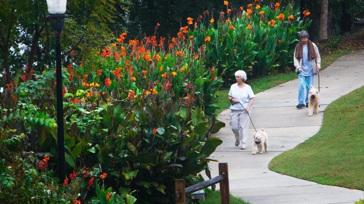 West Columbia Riverwalk is much more developed than the Columbia Riverwalk.