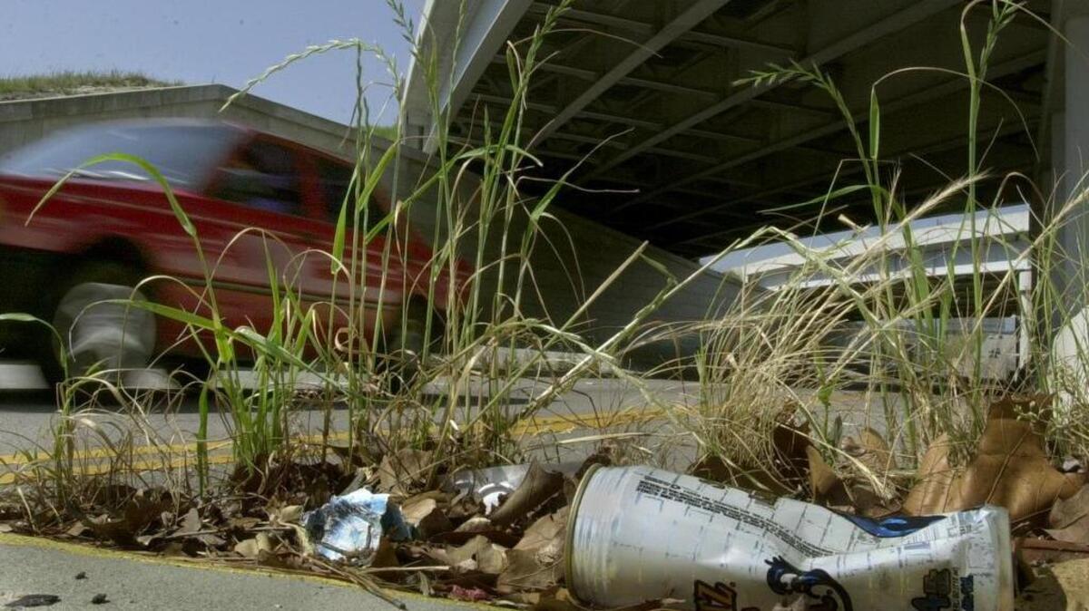 What if we used surveillance cameras to attack South Carolina’s litter problem?