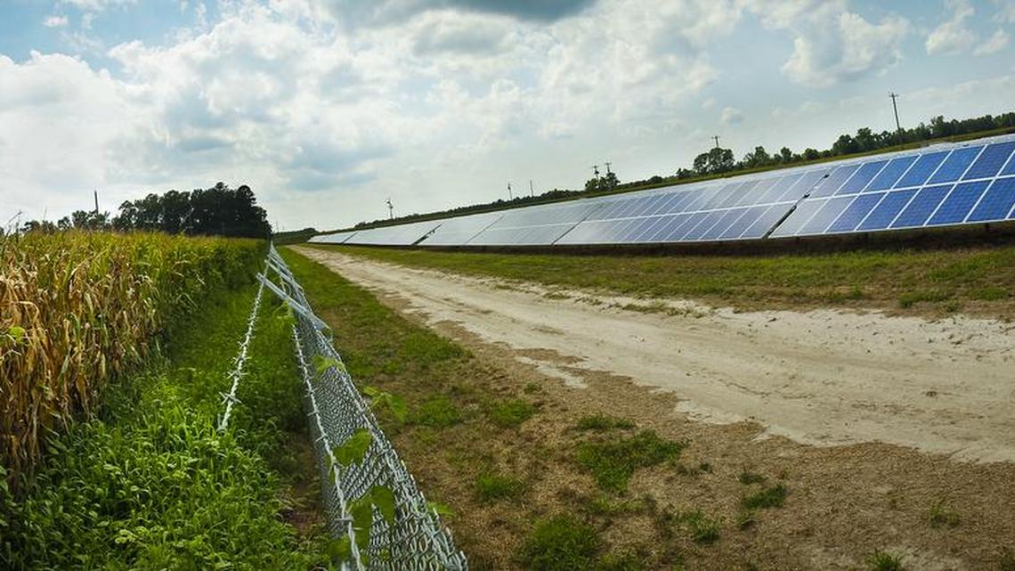 Solar farms have popped up across the Carolinas