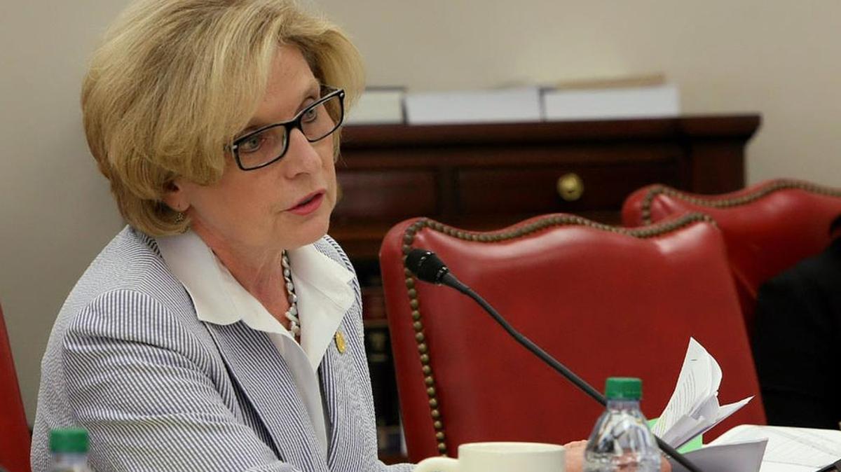 SC Sen Katrina Shealy questions then-DSS Director Lillian Koller.