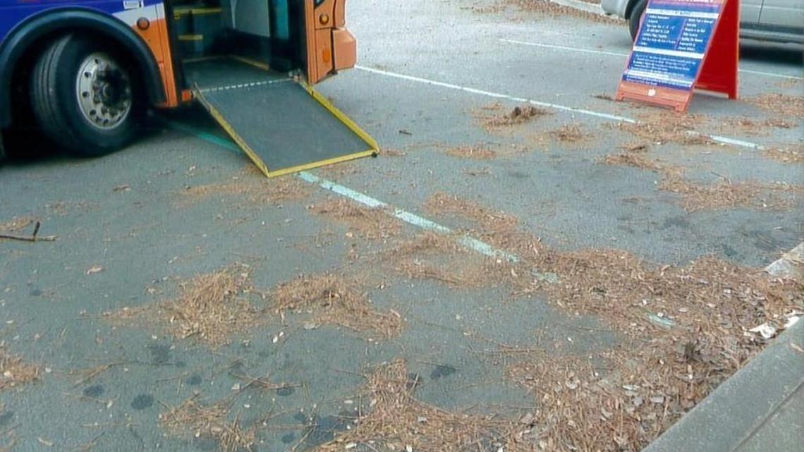 A woman who slipped and fell in a handicap parking lot before a Clemson football game in 2017 alleges in a lawsuit that the university was negligent in maintaining the parking lot and warning people about the slip hazards.