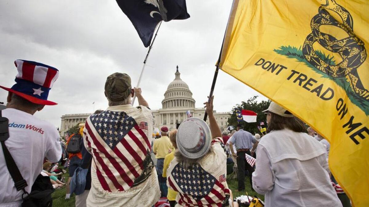 Tea Party activists rally in front of the US Capitol in 2013.