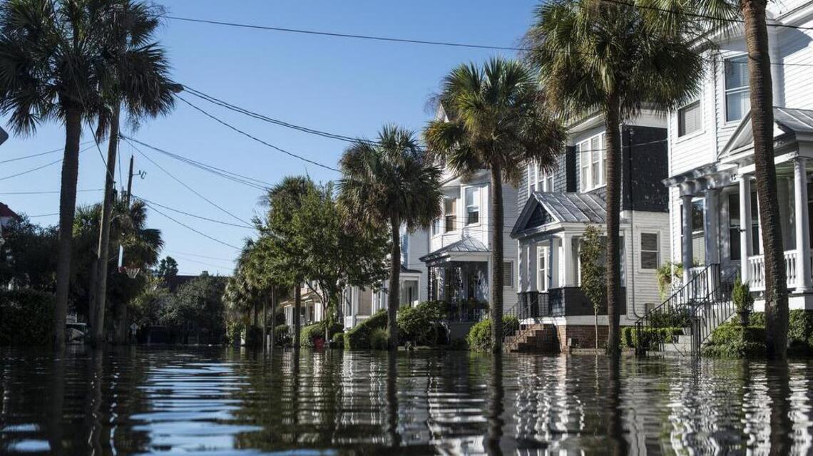 Rising seas are trouble for Charleston’s booming community. This method may prevent disaster