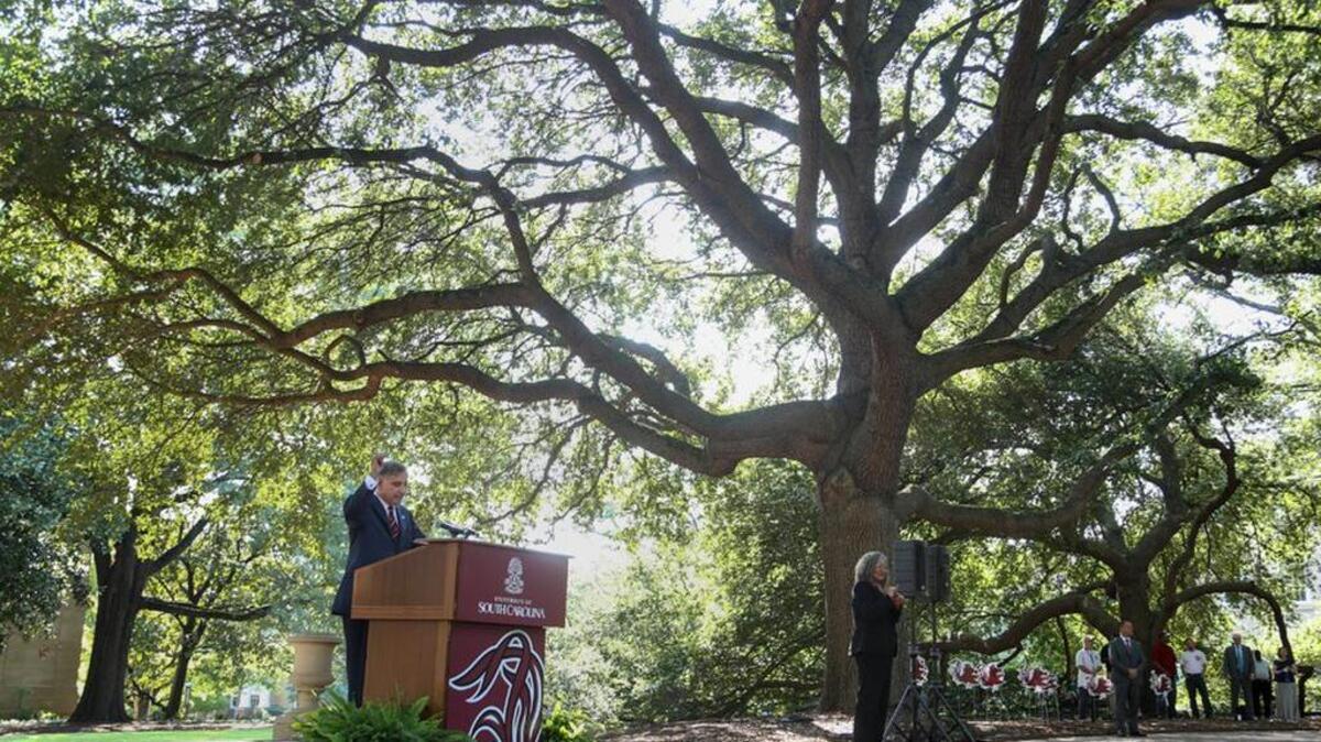 
USC President Harris Pastides delivers the annual State of the University to a crowd gathered on the historic Horseshoe.
