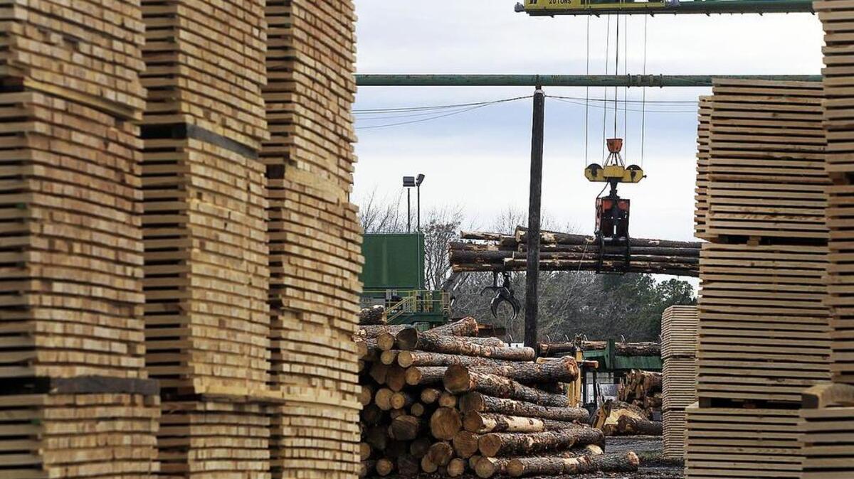 A large crane is used to unload the trucks of the raw logs as they come into the lumber yard.  After the cut trees have been unloaded from the trucks it is placed on conveyor belts that then carries it through to be processed.  Some of the the Pine trees are made into telephone poles while the rest is cut into lumber.  The lumber is dried then shipped out to customers.  The wood chips are sent over seas to a plant in Turkey to be reprocessed for other purposes.   Lumber Products, LLC in Allendale, S.C.