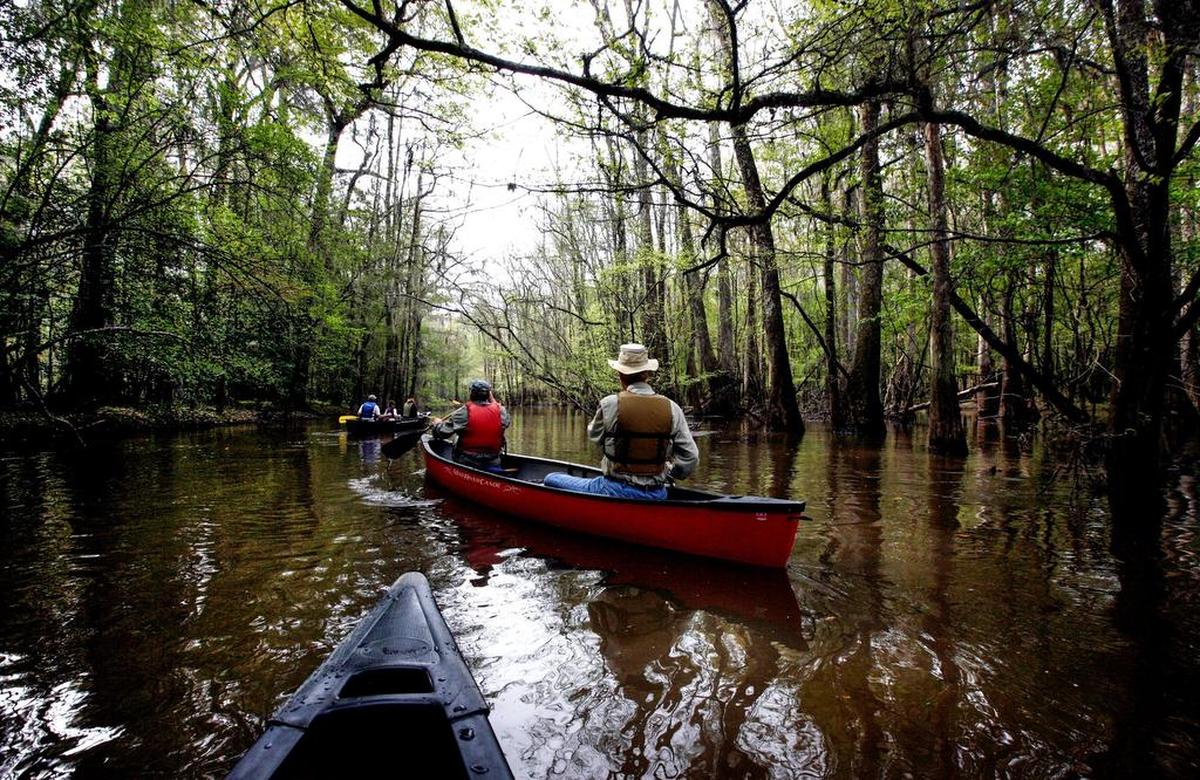 Congaree National Park is one of the projects that has benefited from the The Land and Water Conservation Fund.