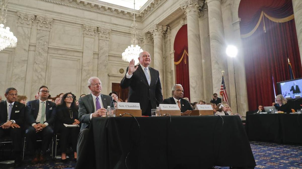 Agriculture Secretary-designate, former Georgia Gov. Sonny Perdue, is sworn in prior to to testifying at his confirmation hearing before the Senate Agriculture, Nutrition and Forestry Committee.