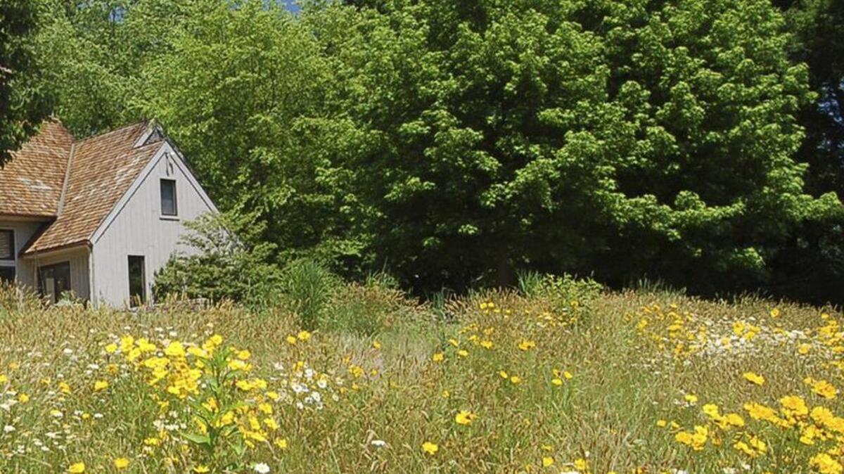 A proposed Lexington County ordinance could prevent some homeowners from growing wildflowers and native grasses in their yards.