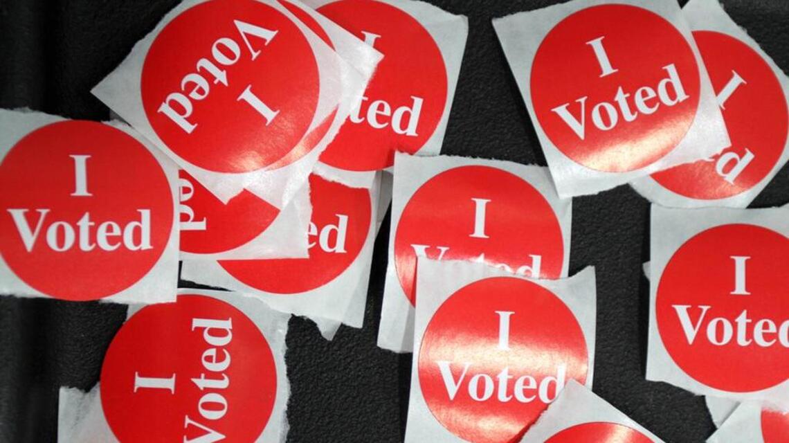 Richland, Lexington Senate, House & County Council candidates, in their own words