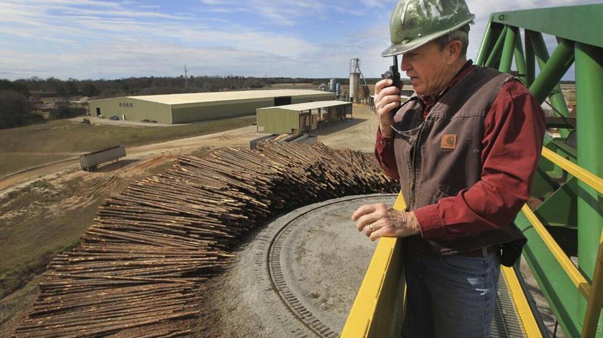 Cullum’s Lumber Products president Micky Scott stands on a large crane used to unload raw logs from trucks at his Allendale mill.