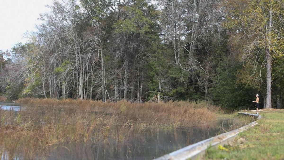 The Richland County Council used restaurant tax money to purchase what it now calls Pinewood Lake Park, and continues pumping money into it, based on the belief that it will draw tourists to the county. Seriously.