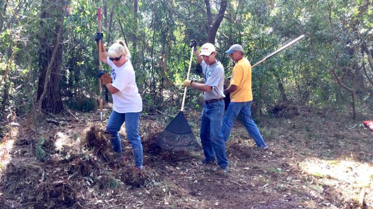 Barbara Wiebe and Bill Wiebe and Rick Van Puffelen do volunteer cleanup outside a home on Hilton Head Island on Sunday.