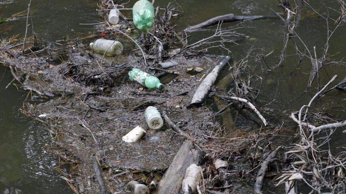 Litter and other debris routinely wash into Gill’s Creek, sometimes clogging it, sometimes flowing downstream to litter lakes.