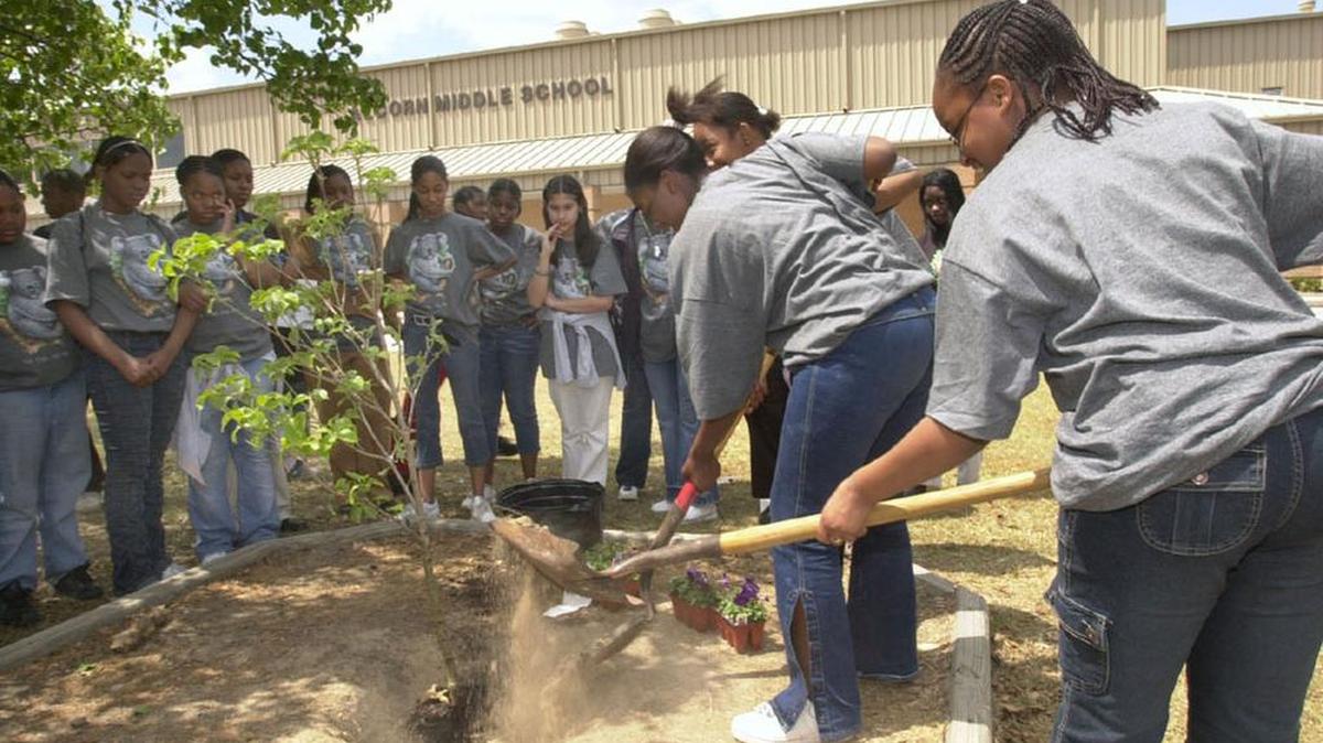 I think that I shall never see, a better way, to celebrate Earth Day, than planting a tree.