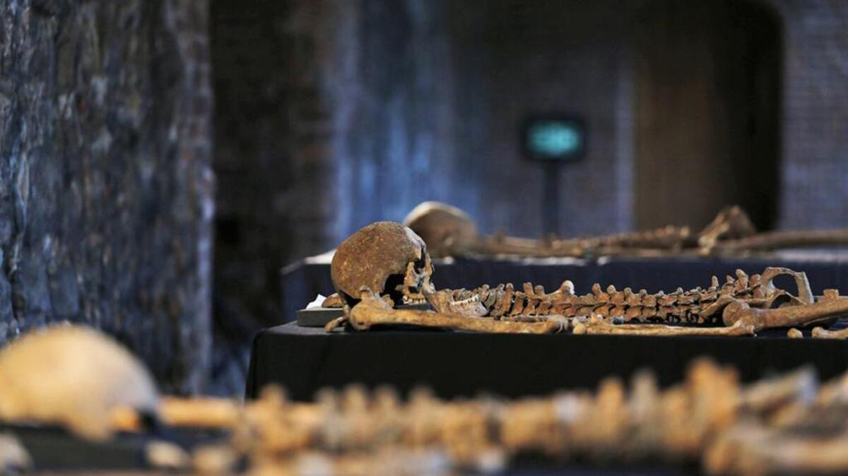 In 1347, the Black Death began; it eventually killed 50 million lives. This 2014 photo shows some of the 25 skeletons found by construction workers under central London’s Charterhouse Square, believed to be from a cemetery for victims of the bubonic plague.