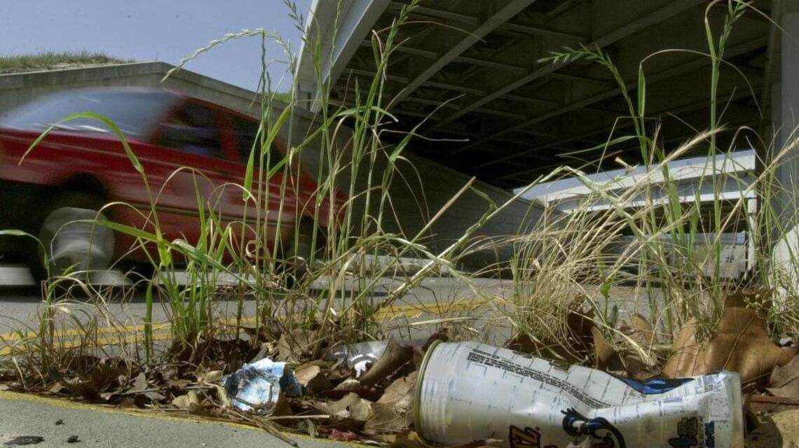 Editorials from across South Carolina: littering, unfit eleced officials