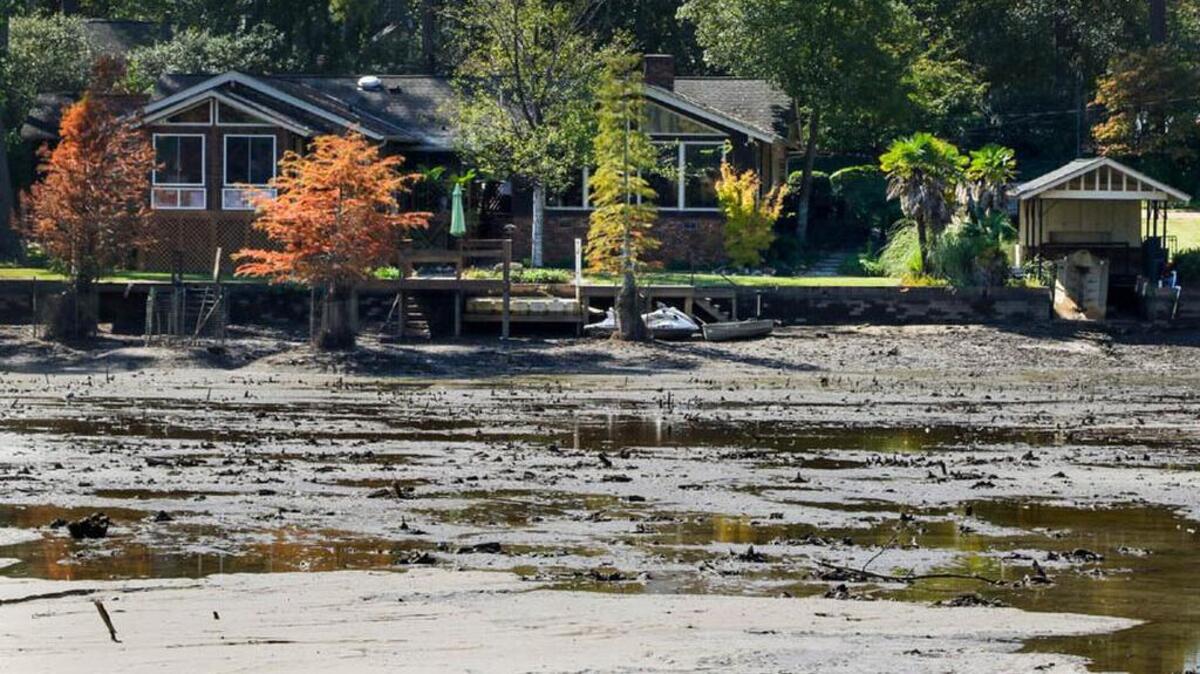 Can this become lush green space? The scenic waters of Cary Lake have been replaced with a muddy plain since the dam broke last month.