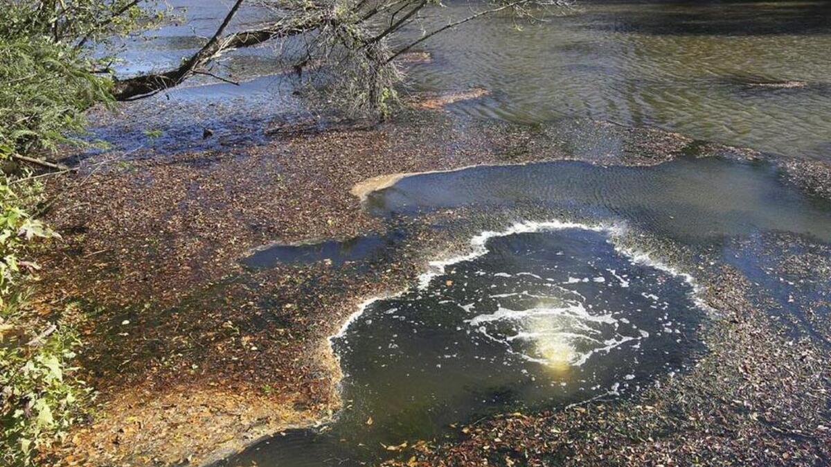 
Treated sewage water bubbles up from a pipe in the lower Saluda River.
