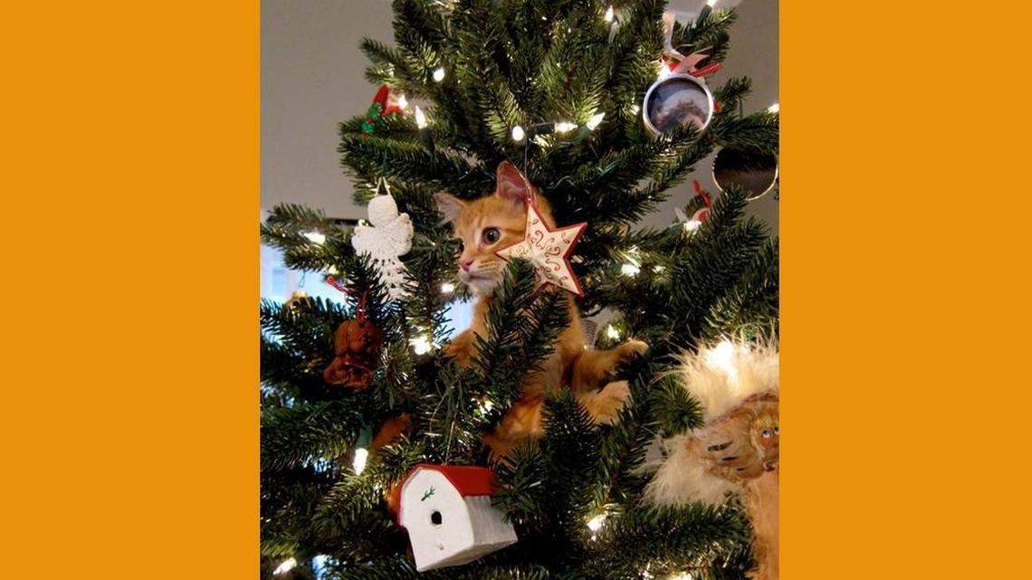 It was a great party — tax giveaways for everyone! Then the governor showed up