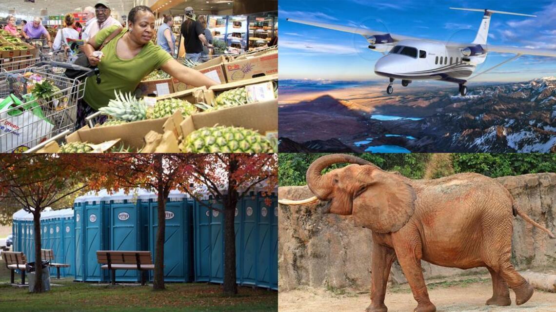 SC sales tax exemptions: from airplanes to zoo animals