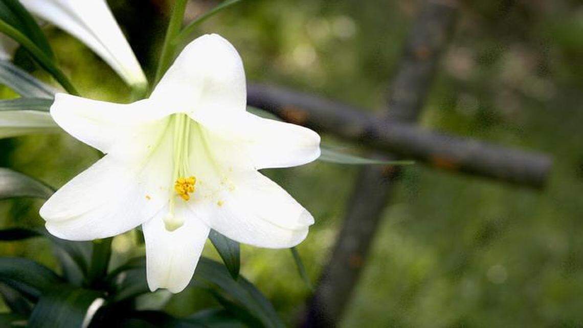 Bolton: On this Easter, what will we do with Jesus?