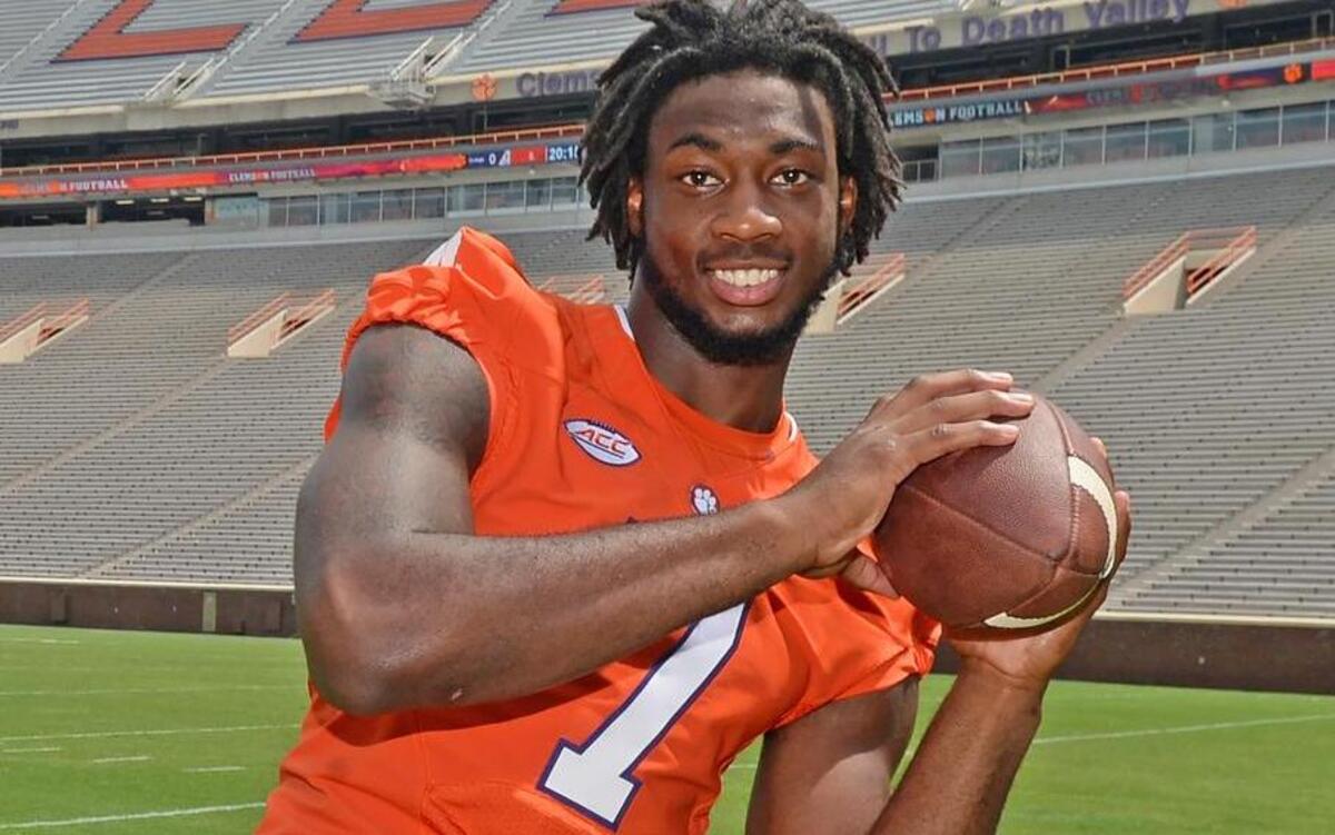 Clemson’s Mike Williams.