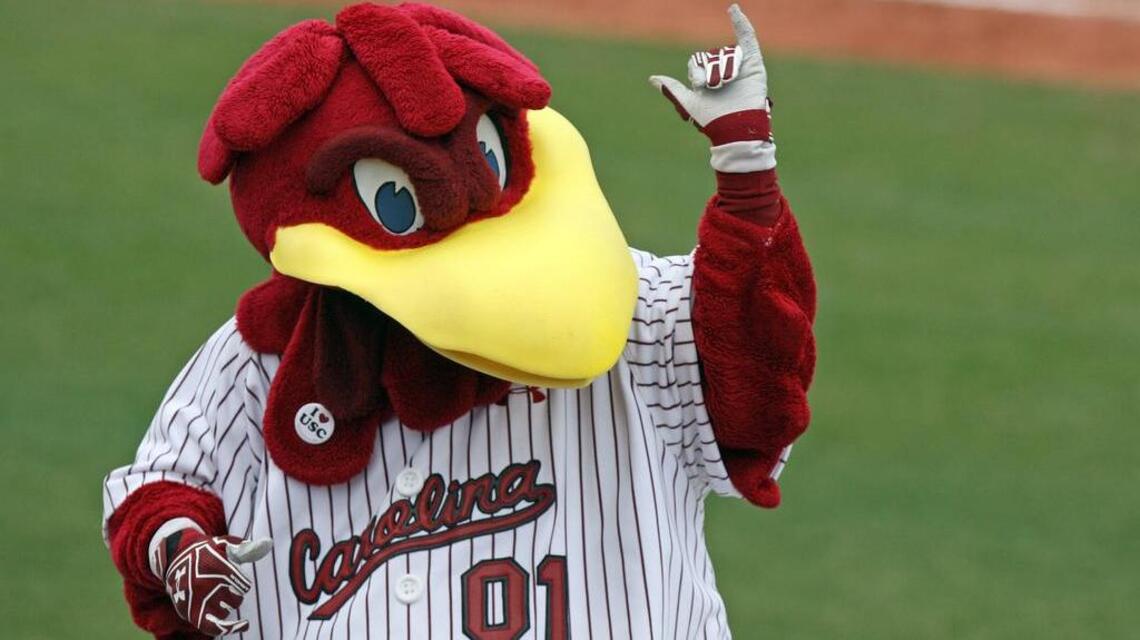 Longtime Citadel baseball coach expects big season from USC