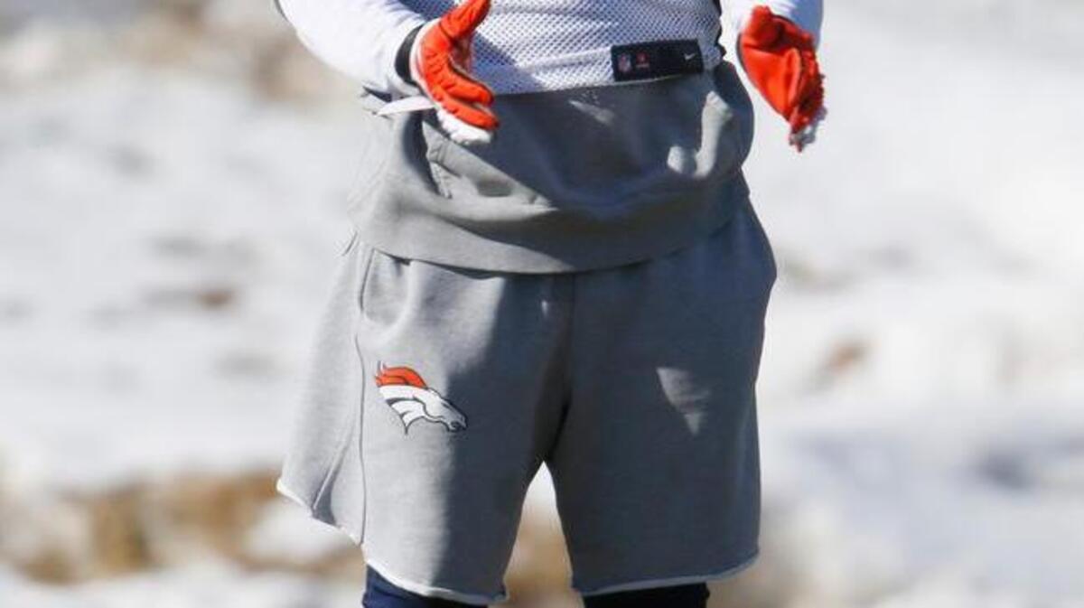 Denver free safety Darian Stewart. (AP Photo/David Zalubowski)