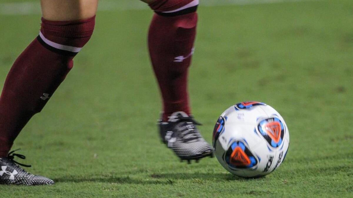 South Carolina women's soccer