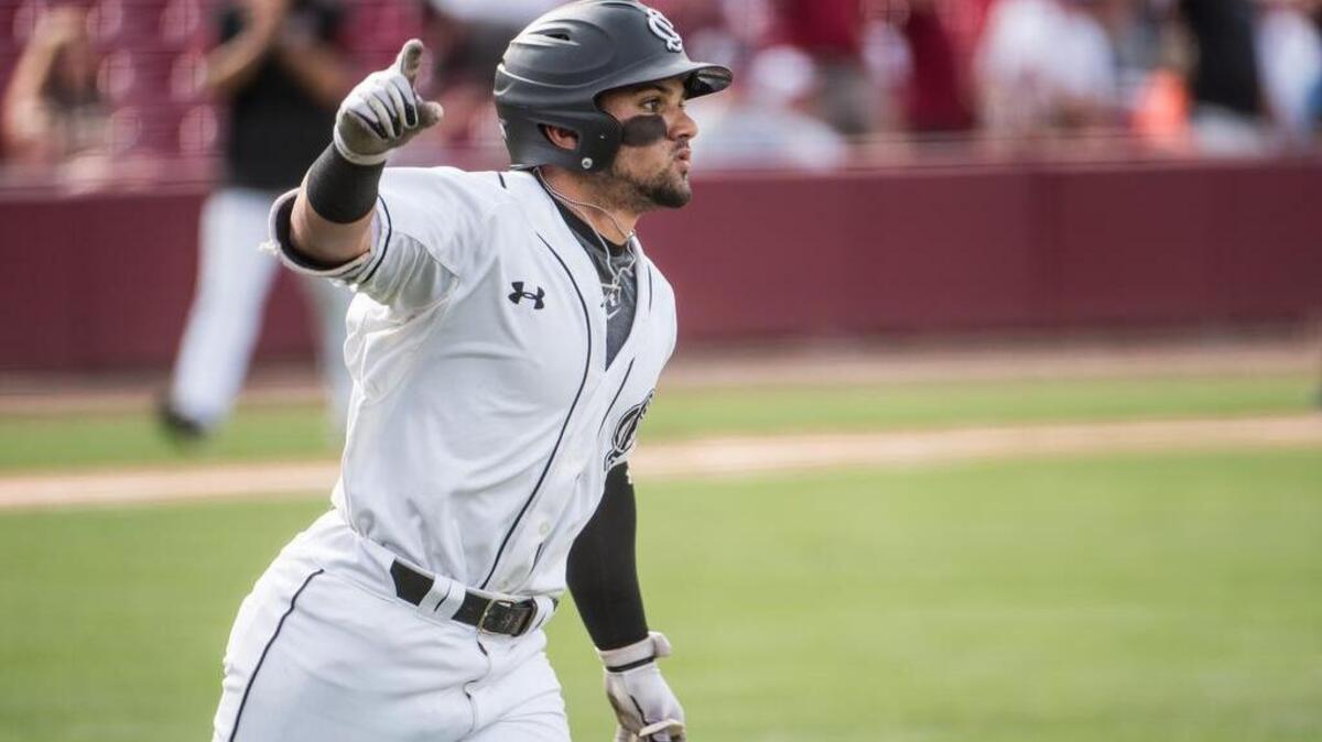 South Carolina baseball star Carlos Cortes played in the Cape Cod League this summer.